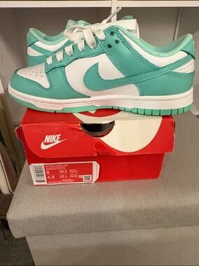 NEW Nike Dunk Lows